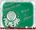 /album/fotos-do-palmeiras/na%c3%a7%c3%a3o%20palmeirense-jpg/